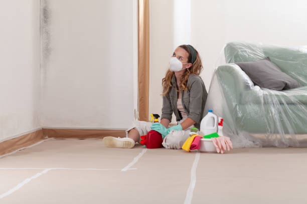 Reliable Mold Testing contractor in Wayne, MI by WQB Mold Removal
