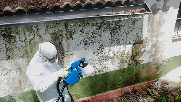 Top rated local Mold Testing specialists in Wayne, MI